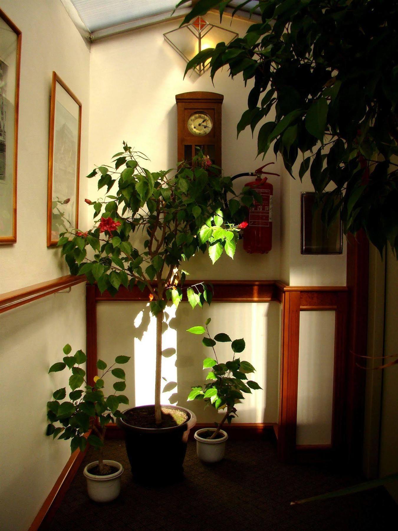 Boutique 16 Praha